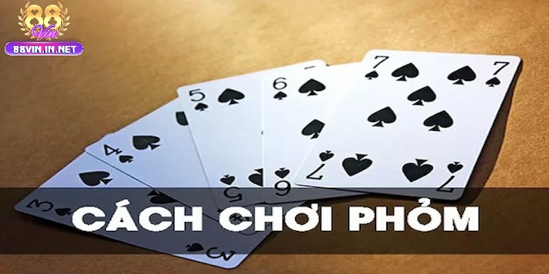 Thuật ngữ người chơi cần biết trong quá trình chơi Bài Phỏm 88vin
