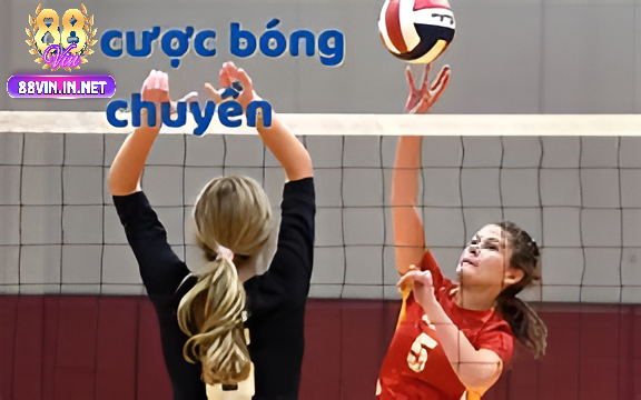 Các Loại Kèo Cá Cược Bóng Chuyền 88vin Phổ Biến