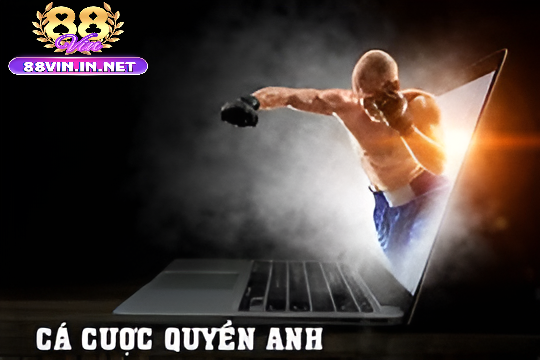 Luật chơi cơ bản trong cá cược Quyền Anh 88vin
