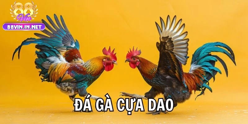 Luật Chơi Và Kinh Nghiệm Cá Cược Đá Gà Cựa Sắt 88vin